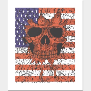 American Flag Skull Patriotic Graphic Posters and Art